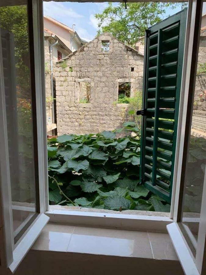 קוטור Apartments Dabovic מראה חיצוני תמונה